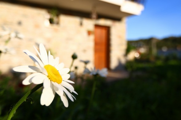 Stone House